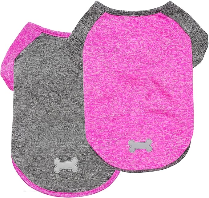 KYEESE 2 Pack Dog Shirt-Quick Dry Dog T-Shirts with Reflective Label Raglan Sleeve