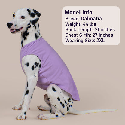 2PACK STRIPED DOG SHIRT