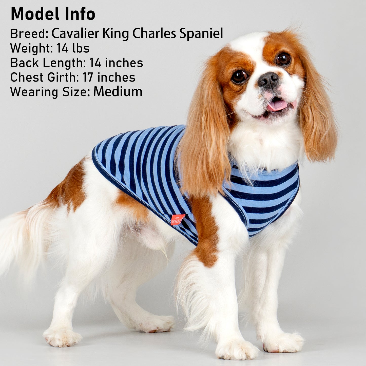 KYEESE 2Pack Striped Dog Shirts – Lightweight Cotton Sleeveless T-Shirts