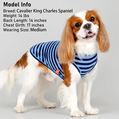 KYEESE 2Pack Striped Dog Shirts – Lightweight Cotton Sleeveless T-Shirts