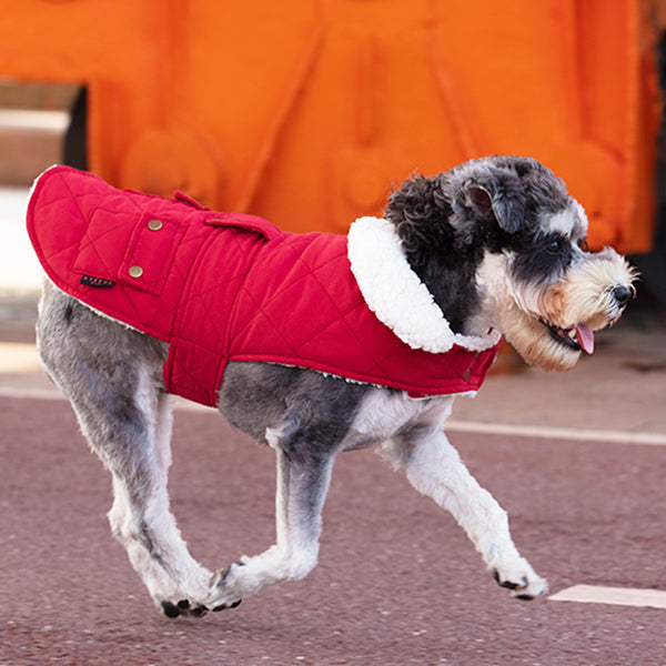 KYEESE Winter Windproof Dog Vest Fleece Lined Cold Weather Coats