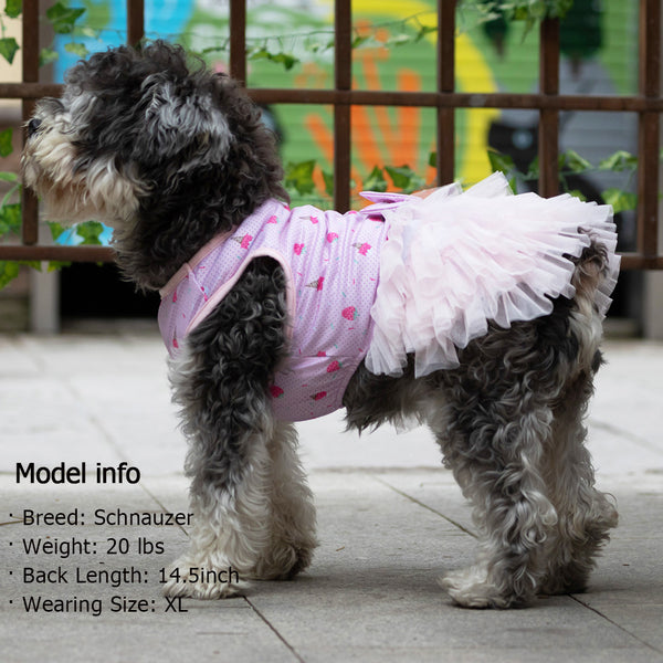 KYEESE Dog Dresses Breathable Mesh Dog Dress Lightweight Cat Dress Dog Sundress for Spring Summer