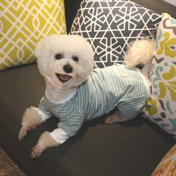 KYEESE CLASSIC MINT GREEN STRIPE DOG PAJAMA